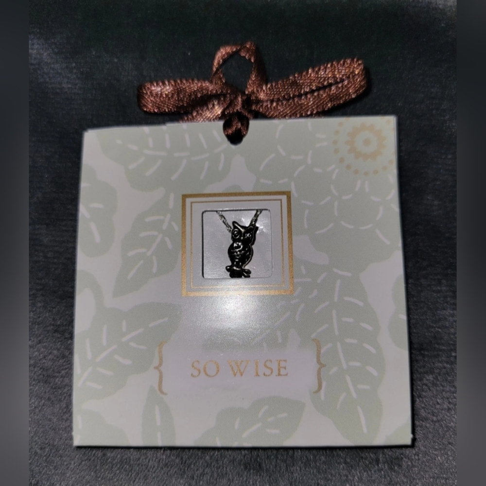 Carded Giftable Symbol So Wise Owl Charm Necklace Silver 18 in Chain